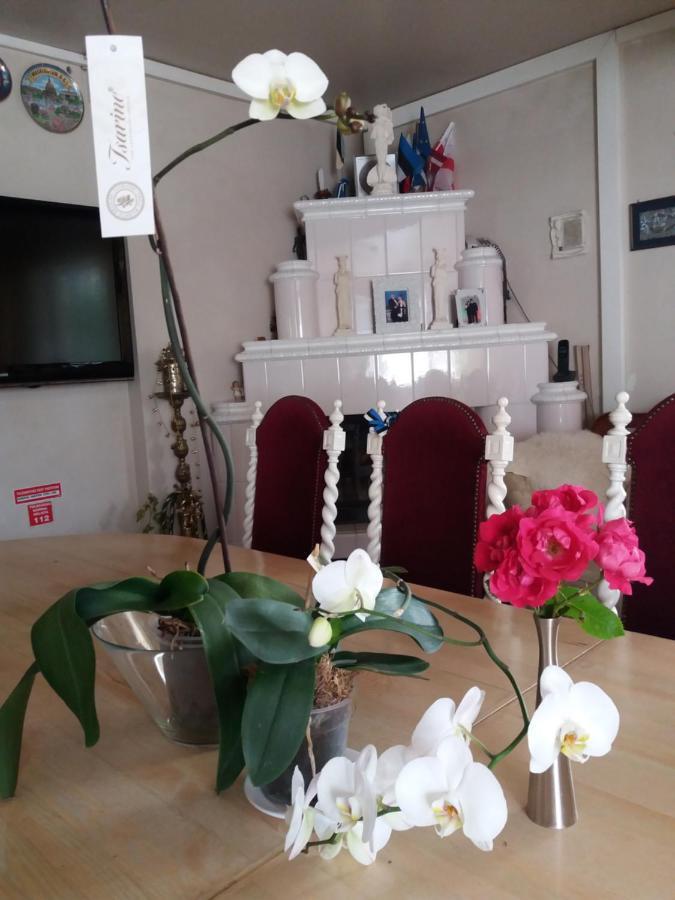 White Villa Ταλίν Εξωτερικό φωτογραφία